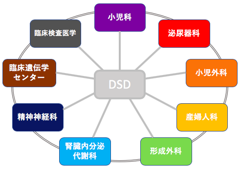 図1. 包括的かつ診療科横断的な性分化疾患（DSD）センター