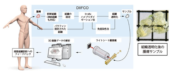 図1. DIFFCO法の概略