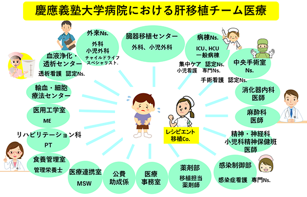 図１．慶應義塾大学病院における肝移植チーム医療