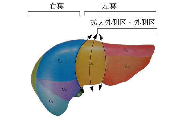 図４．提供される肝臓の種類