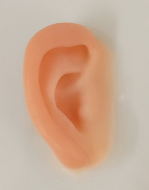 図2．高精細な義耳