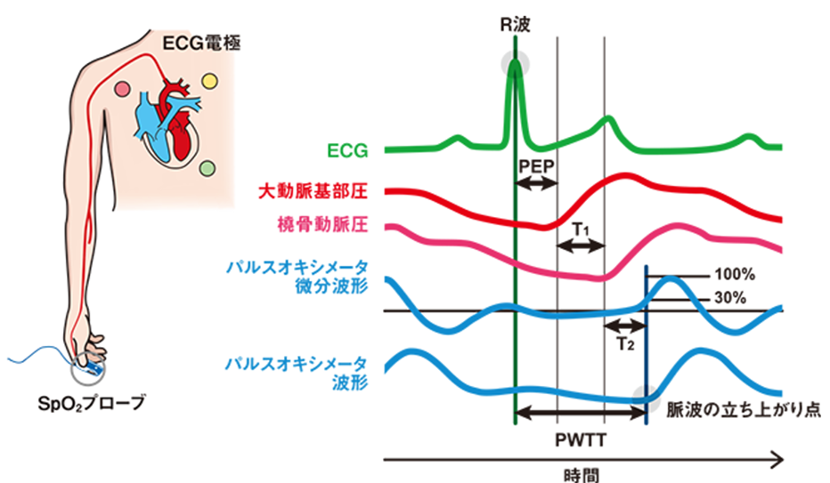 図１