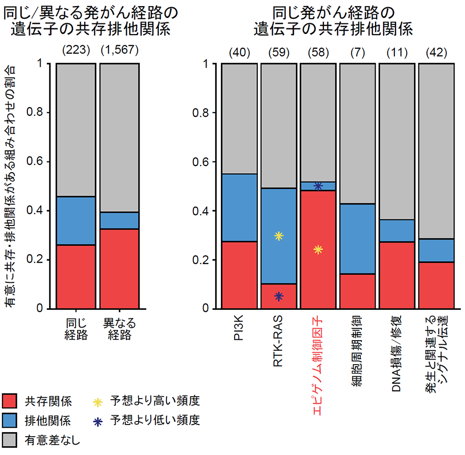 図４．ドライバー遺伝子の発がん経路ごとの共存排他関係